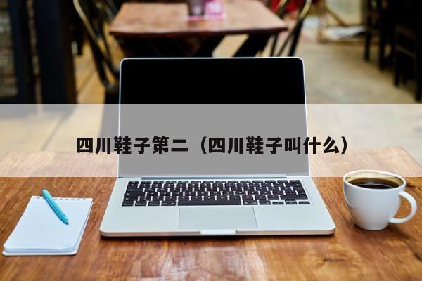 四川鞋子第二（四川鞋子叫什么）