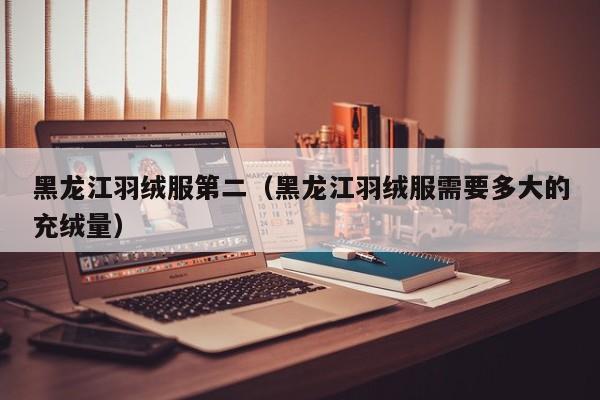 黑龙江羽绒服第二（黑龙江羽绒服需要多大的充绒量）