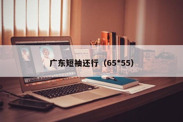 广东短袖还行（65*55）