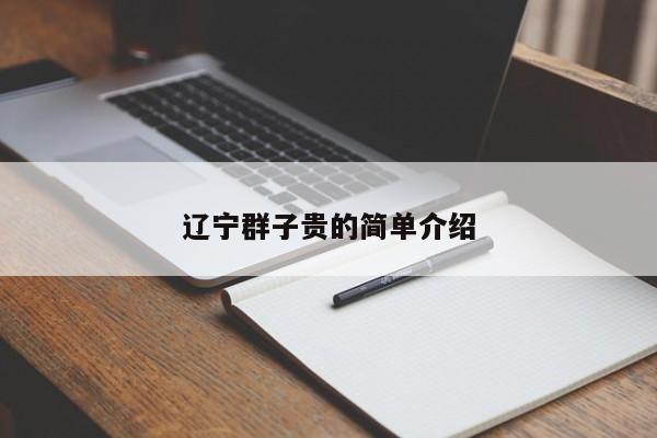 辽宁群子贵的简单介绍