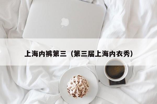 上海内裤第三（第三届上海内衣秀）