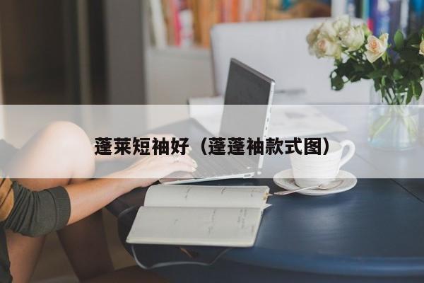 蓬莱短袖好（蓬蓬袖款式图）