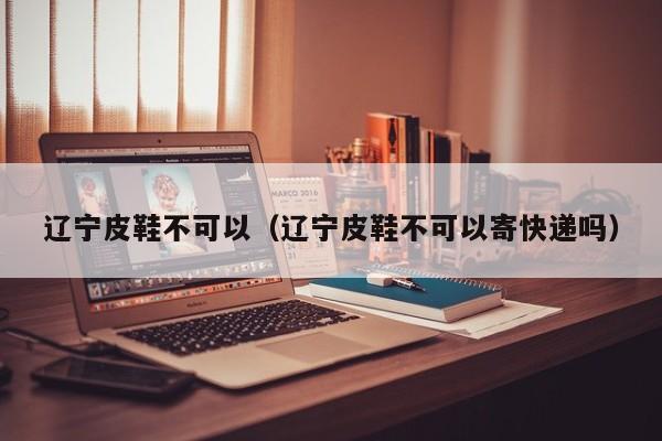 辽宁皮鞋不可以（辽宁皮鞋不可以寄快递吗）